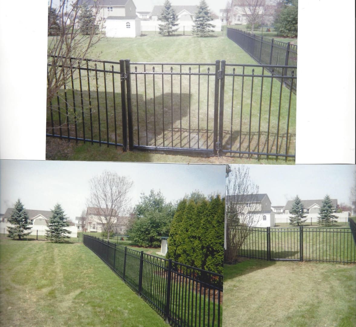 Backyard enclosed by black metal fence