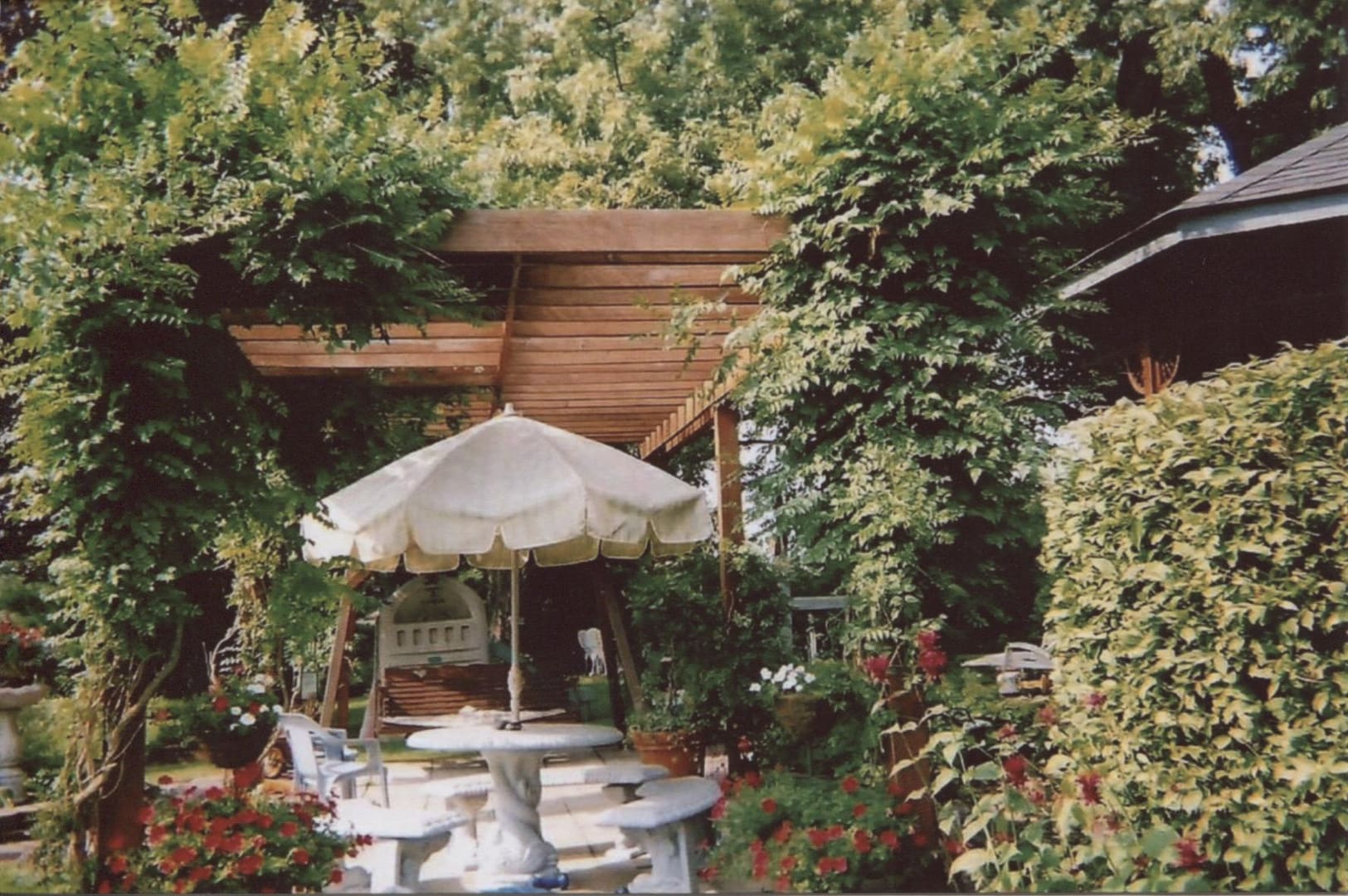 Cozy garden nook with umbrella and plants