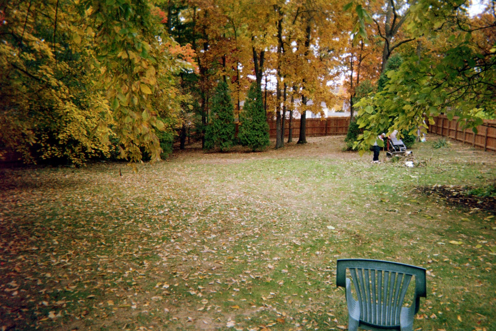 Green chair in a leafy yard